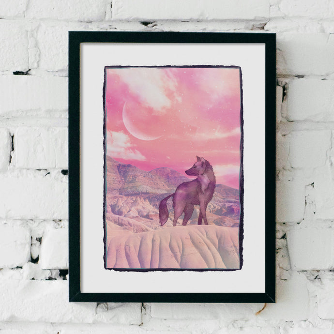 Art Print - Coyote