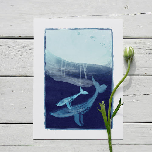 Art Print - Whale